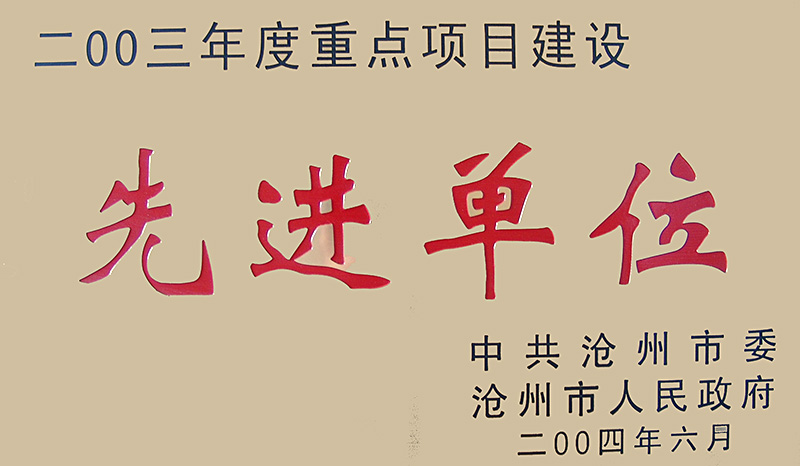 2003年度重點(diǎn)項目建設(shè)先進(jìn)單位