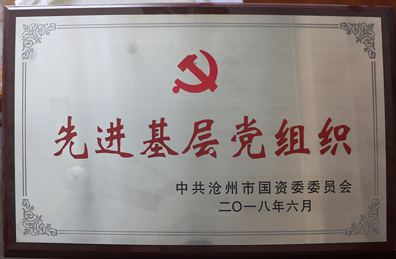 2018年滄州國資委先進(jìn)基層黨組織